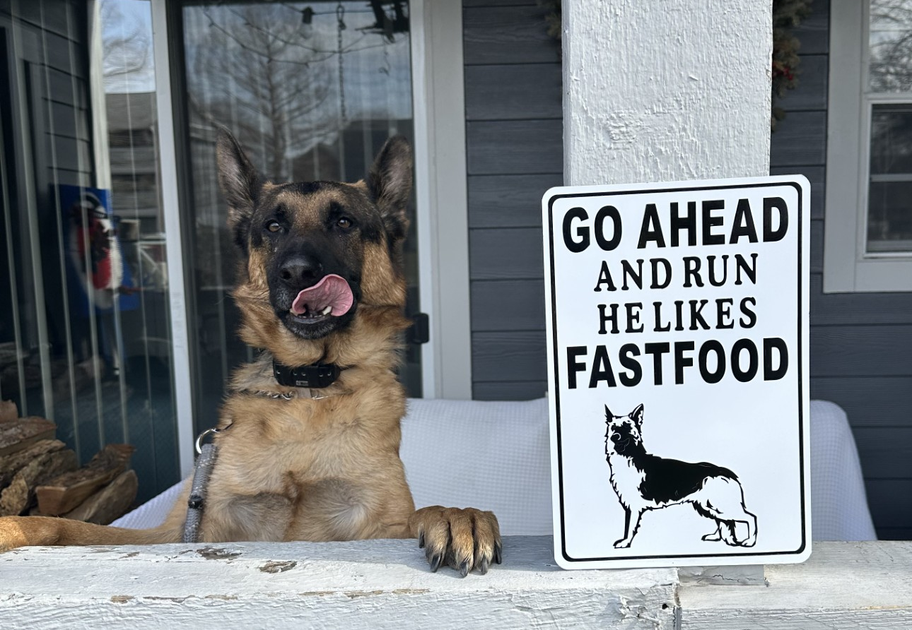 German Shepherd Metal sign Go Ahead and Run He Likes FastFood (Personalized)
